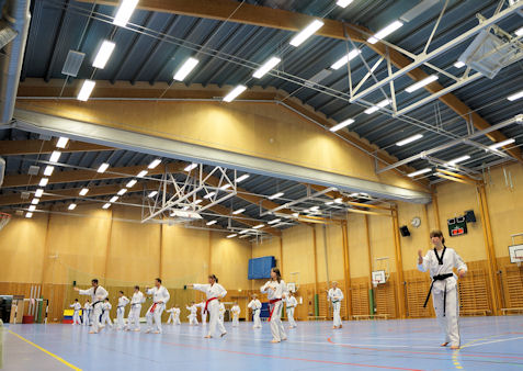 Ljungenskolan